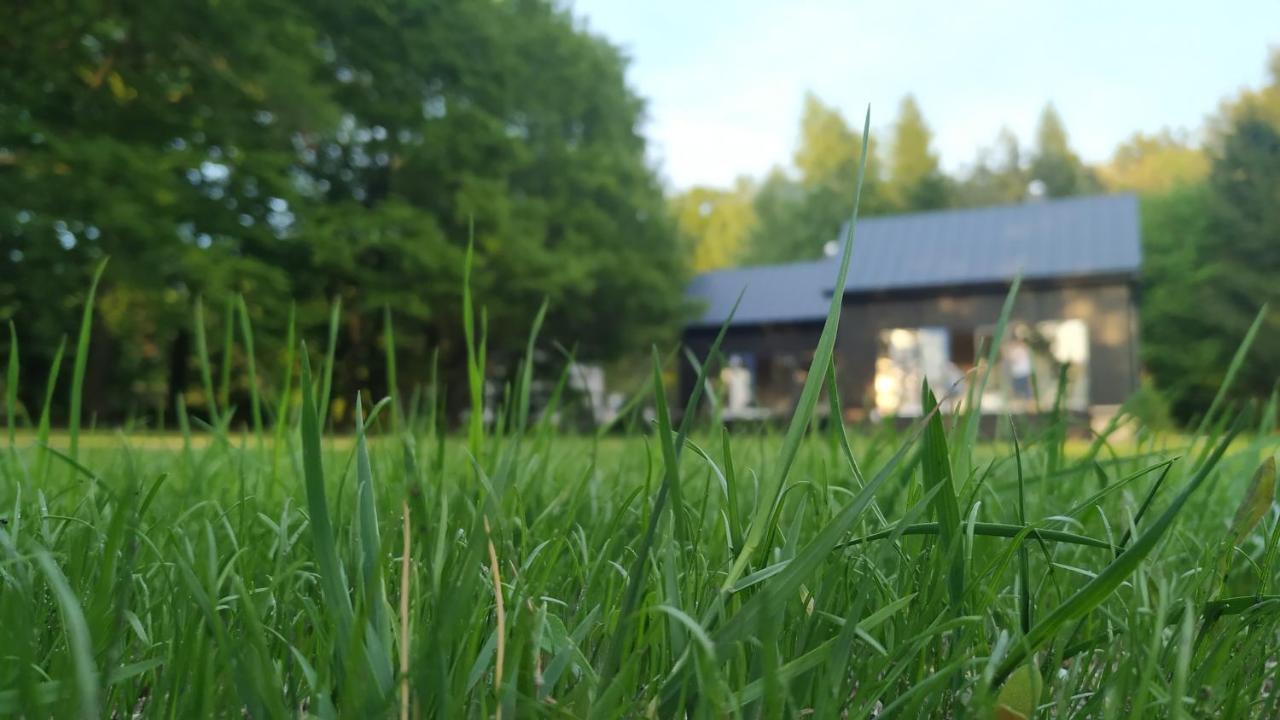 Komorebi Holiday home *